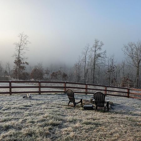 Great Little Guest Suite With Private Entry & Deck! Pet Friendly & 30 Mins To Nashville! Ashland City Εξωτερικό φωτογραφία