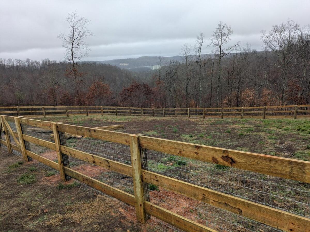 Great Little Guest Suite With Private Entry & Deck! Pet Friendly & 30 Mins To Nashville! Ashland City Εξωτερικό φωτογραφία