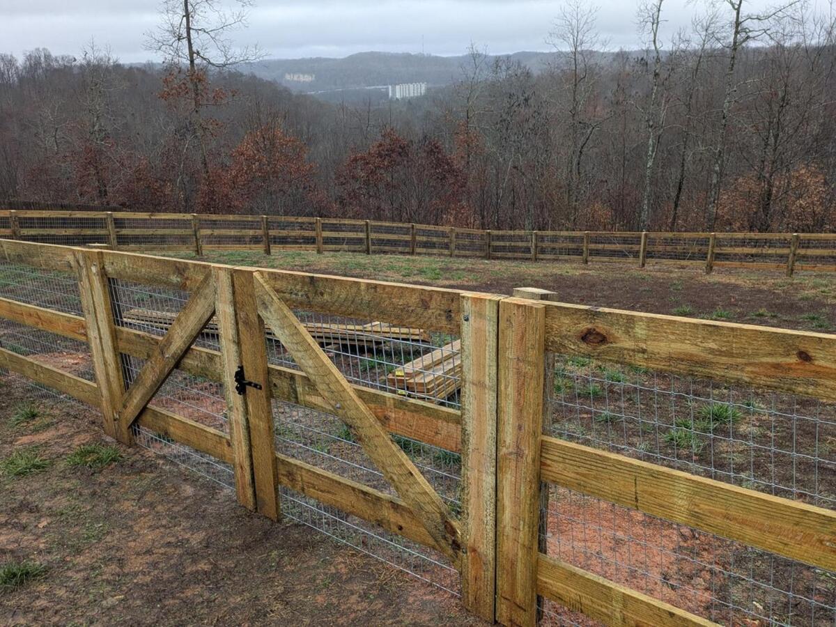 Great Little Guest Suite With Private Entry & Deck! Pet Friendly & 30 Mins To Nashville! Ashland City Εξωτερικό φωτογραφία